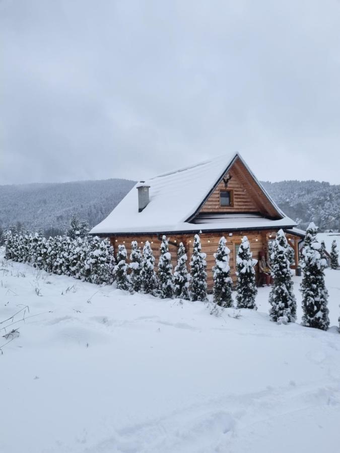 Jodlowa Chata Myślenice Exteriör bild